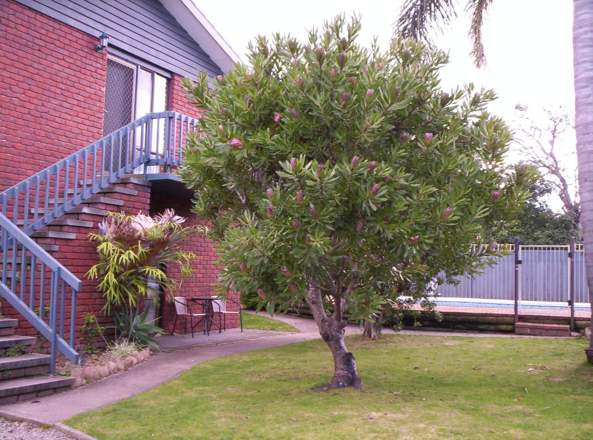 Harbour Lights Holiday Units Merimbula Dış mekan fotoğraf